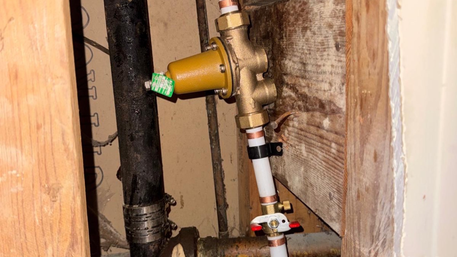 Plumbing professional checking pipework and water connections
